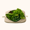 XL Leafy Greens Bag