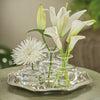 Unique Glass Vases (Set of 3)