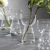 Amélie Assorted Glass Vases, Set of 4