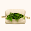 Fresh Herb Bag