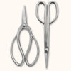 Garden Gift Box - Stainless Garden Scissor Set